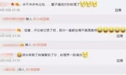 娱乐大爆料全文在线阅读,揭秘娱乐圈背后的秘密与真相